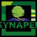 SYNAPEF (@SYNAPEF1) Twitter profile photo