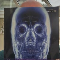 Sir Paul KBE 🛡️⚔️ (@p_a_u_l_2015) 's Twitter Profile Photo Sir Paul KBE 🛡️⚔️ (@p_a_u_l_2015) 's Twitter Profile Photo