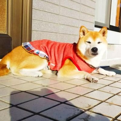 maryさんのプロフィール画像