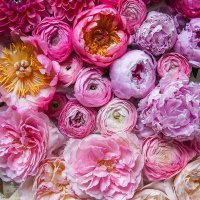 Isabel (@isabel02615627) 's Twitter Profile