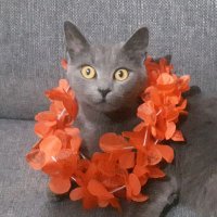 Jamie (@michaelpour77) 's Twitter Profile