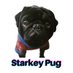 Adair Mendoza (@starkeypug) Twitter profile photo Adair Mendoza (@starkeypug) Twitter profile photo