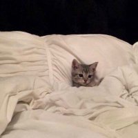 กวิ้น 🩺🔮 (@bibicherilyn) 's Twitter Profile