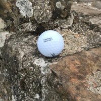 Waukesha Girls Golf (@waukgirlsgolf) 's Twitter Profile