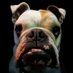 Carlitos Rey (@negroghmc) Twitter profile photo Carlitos Rey (@negroghmc) Twitter profile photo