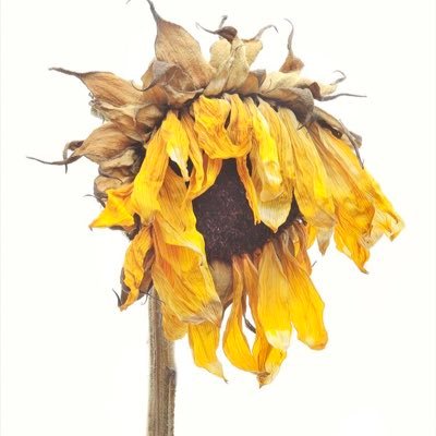 CCTV_life02's profile picture. 