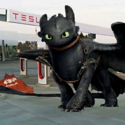 Tesla_Toothless's profile picture. Born a black Tesla Model Y LR it is very stealthy and intelligent. The Unholy Offspring of Lightning and Death Itself became domesticated and renamed Toothless.