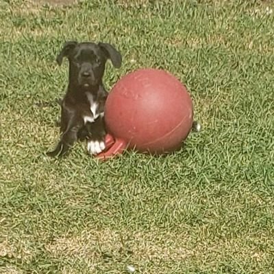 bonnie_fisher's profile picture. .