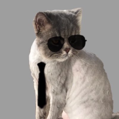 0183927284728a's profile picture. Provas que o nipe não é gay