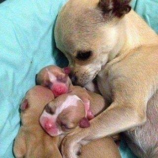 Profesora de Portuguès.Correr mi terapia,amo a los animales y la naturaleza.Anti kk y de Boquita!!!! No es soberbia es amor,decir adiòs es crecer.