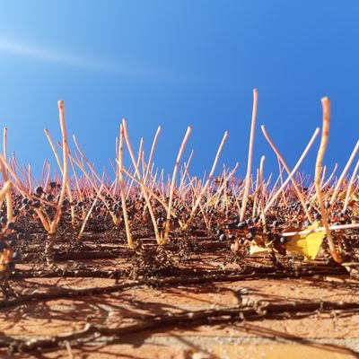 iamsource1111's profile picture. 