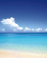 anohino_omoide's profile picture. たった一度きりの人生。些細なことでも見逃さないように。小さな出会いも大切に。
ジンが好きですが、2023年6月からウイスキーの沼に･･･2024年11月からは日本酒も気になり始め･･･

ウイスキー諜報機関M-09　Agent No.92🕵️‍♂️