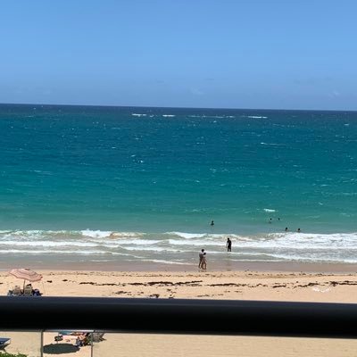 patti_rouleau's profile picture. Dogs are good people.  This I know is true!