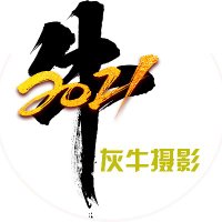 灰牛摄影 (@banpingphoto) Twitter profile photo