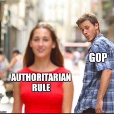 pitbulllobby's profile picture. 