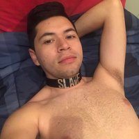 SubDiDi (@subslavedd) 's Twitter Profile