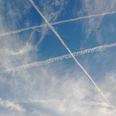 Inakoshin's profile picture. 