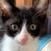 😼 ᕼYᔕTEᖇI᙭ 😽 (@hysterix) Twitter profile photo 😼 ᕼYᔕTEᖇI᙭ 😽 (@hysterix) Twitter profile photo