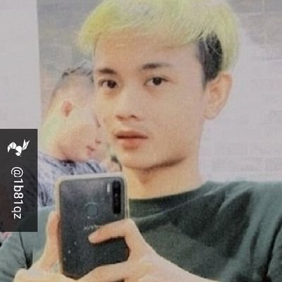 Sotwe Rasa Bocil Sotwe Rasa Bocil