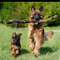 Amuj. (@gabriel19274740) 's Twitter Profile