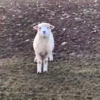 mads (@maddymay_) 's Twitter Profile