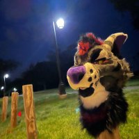 Toasty (@coyotepanik) 's Twitter Profile