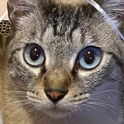 結城さんのプロフィール画像