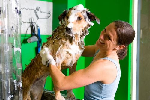 tylertystewart's profile picture. Pro triathlete, ultra runner, horse show jumper and real estate agent at Sotheby's.