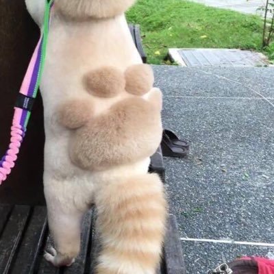 tinsibaguti's profile picture. 道後温泉のあわひめ🛁