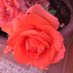 Angela C L (@celiale25309221) Twitter profile photo Angela C L (@celiale25309221) Twitter profile photo