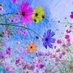Yol Gezer 🕊️🌼 (@yolgezer1905gs) Twitter profile photo Yol Gezer 🕊️🌼 (@yolgezer1905gs) Twitter profile photo