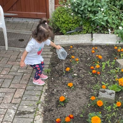 AvinashRamnauth's profile picture. 