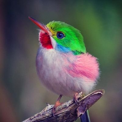 At2o00ota's profile picture. 