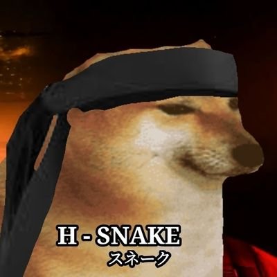 H - Snake❗さんのプロフィール画像