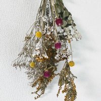 🍀Flower seeds🍀 (@flowerseeds7) 's Twitter Profile Photo