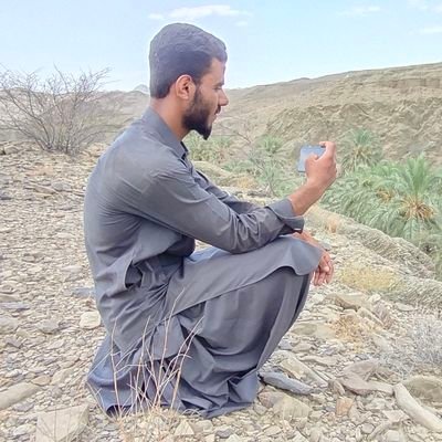 BulediGul's profile picture. computer programmer