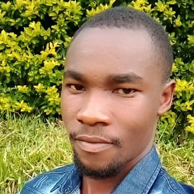 I have experience in computer engineering and Electrical installation, I love sports and free life
