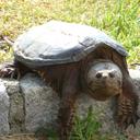 Brian R - @BrianandCheryl - Twitter