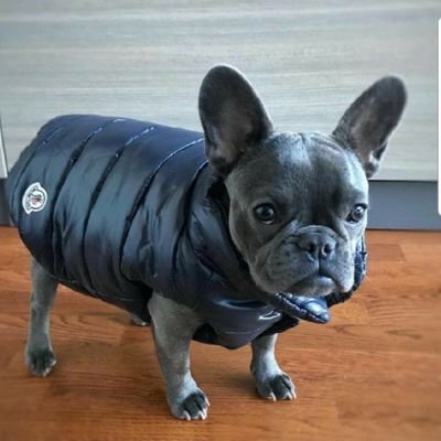 masakey1985's profile picture. サーフィン、珍奇植物、お酒、フレンチブルドッグ、ラーメンが好きです。
浜松出身でヒッチハイク弾き語り旅、美容院、日雇い、治験、建築を経て20台半ばからバイトで入った人材会社に就職し10年の九州生活を経て今は大阪在住です。
遊びも仕事も大切に!!