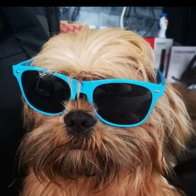 73PTH's profile picture. 