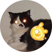 ทาสแมวส์- need a little nyap (@taiki_taiki) 's Twitter Profile Photo ทาสแมวส์- need a little nyap (@taiki_taiki) 's Twitter Profile Photo