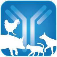 Young Veterinary Immunologists DGfI (@y_vetimmu_dgfi) 's Twitter Profile