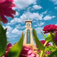 محمد الإسماعيلي (@m_alismaili) Twitter profile photo