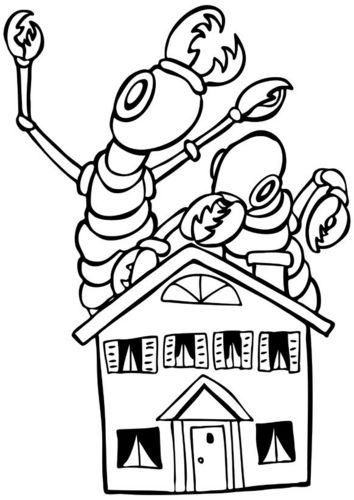 @TermiteExperts