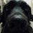 96lab's profile image