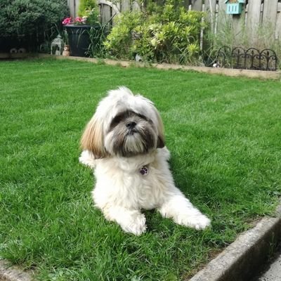 ThomasMcCrudden's profile picture. 