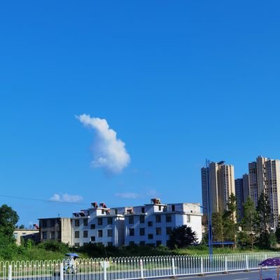 feng6782's profile picture. 发现新世界