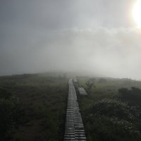大川 康 (@cinelli12) 's Twitter Profile