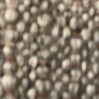 spartanpride8's profile picture. 