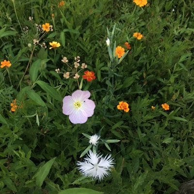 uuuu27573935's profile picture. Nice to meet you